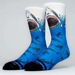 Multicolor workout SHARK ATTACK | WODABLE