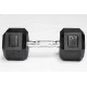 PERF hexagonale 10 KG Dumbbell | VERY BAD WOD