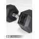 PERF hexagonale 10 KG Dumbbell | VERY BAD WOD