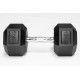 PERF hexagonale 15 KG Dumbbell | VERY BAD WOD